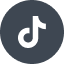 ico_tt